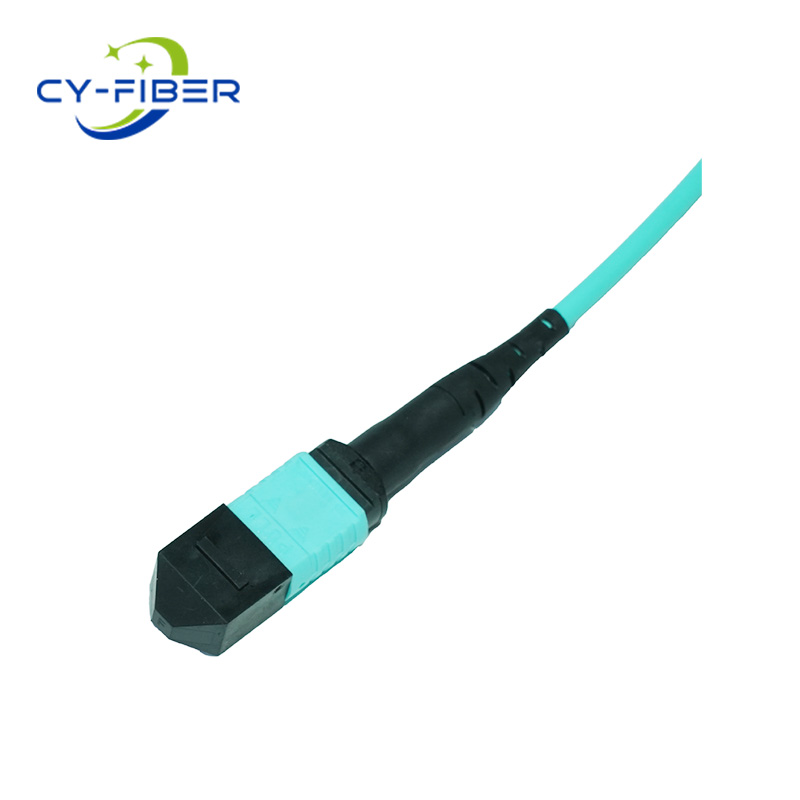 OM3 24 Cores MPO/MTP UPC to 24 FC Simplex UPC Female Multimode Branch Patch Cord,Polarity B