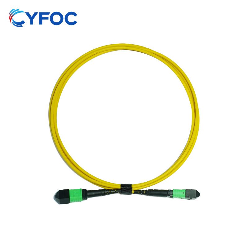 OS2 24芯MPO/MTP® APC（母头）转MPO/MTP® APC（母头）单模光纤跳线，极性B