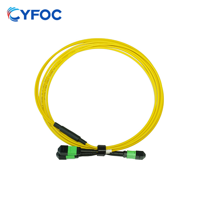 OS2 12芯MPO/MTP® APC（母头）转2xMPO/MTP® APC（母头）单模转换跳线，极性B