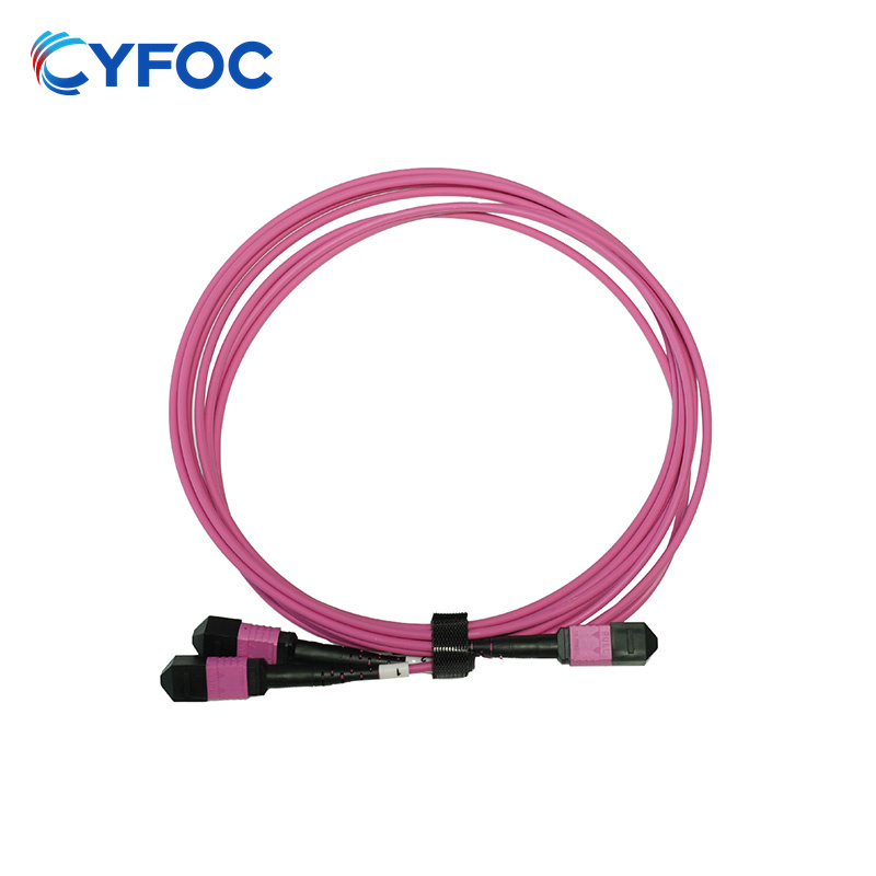 OM4 24芯MPO/MTP® UPC（母头）转2xMPO/MTP® UPC（母头）多模转换跳线，极性B