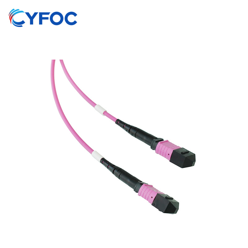 OM4 24芯MPO/MTP® UPC（母头）转2xMPO/MTP® UPC（母头）多模转换跳线，极性B