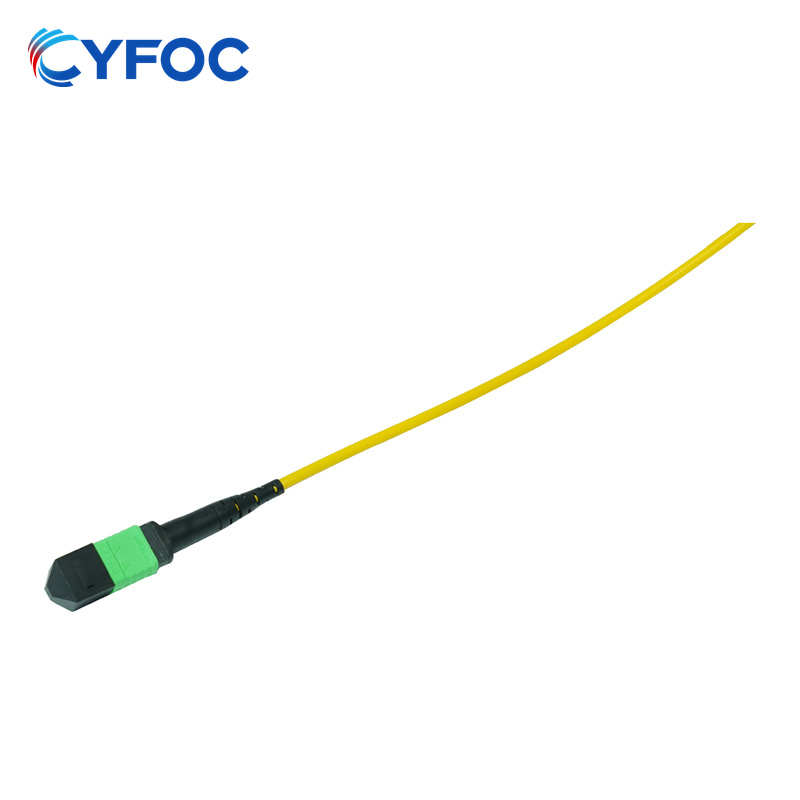 OS2 12芯MPO/MTP® APC（母头）转2xMPO/MTP® APC（母头）单模转换跳线，极性B