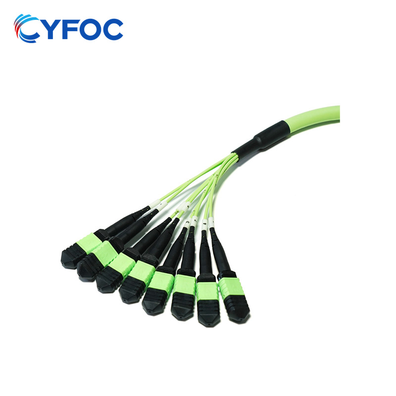 OM5 96芯MPO-12 UPC（母头）转MPO UPC（母头）多模光纤跳线，极性B